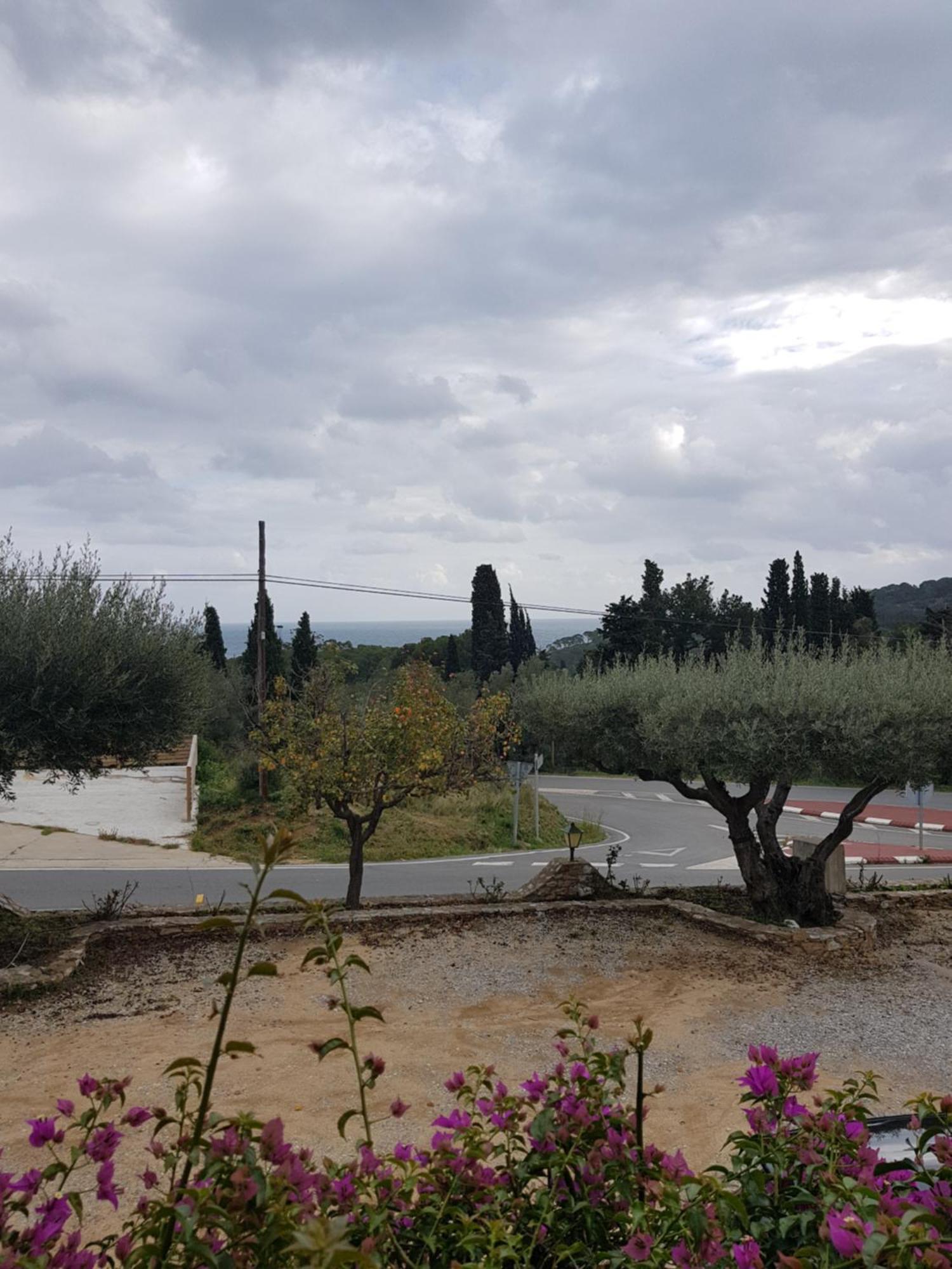 Hotel Nuevo Ondina Begur Eksteriør bilde