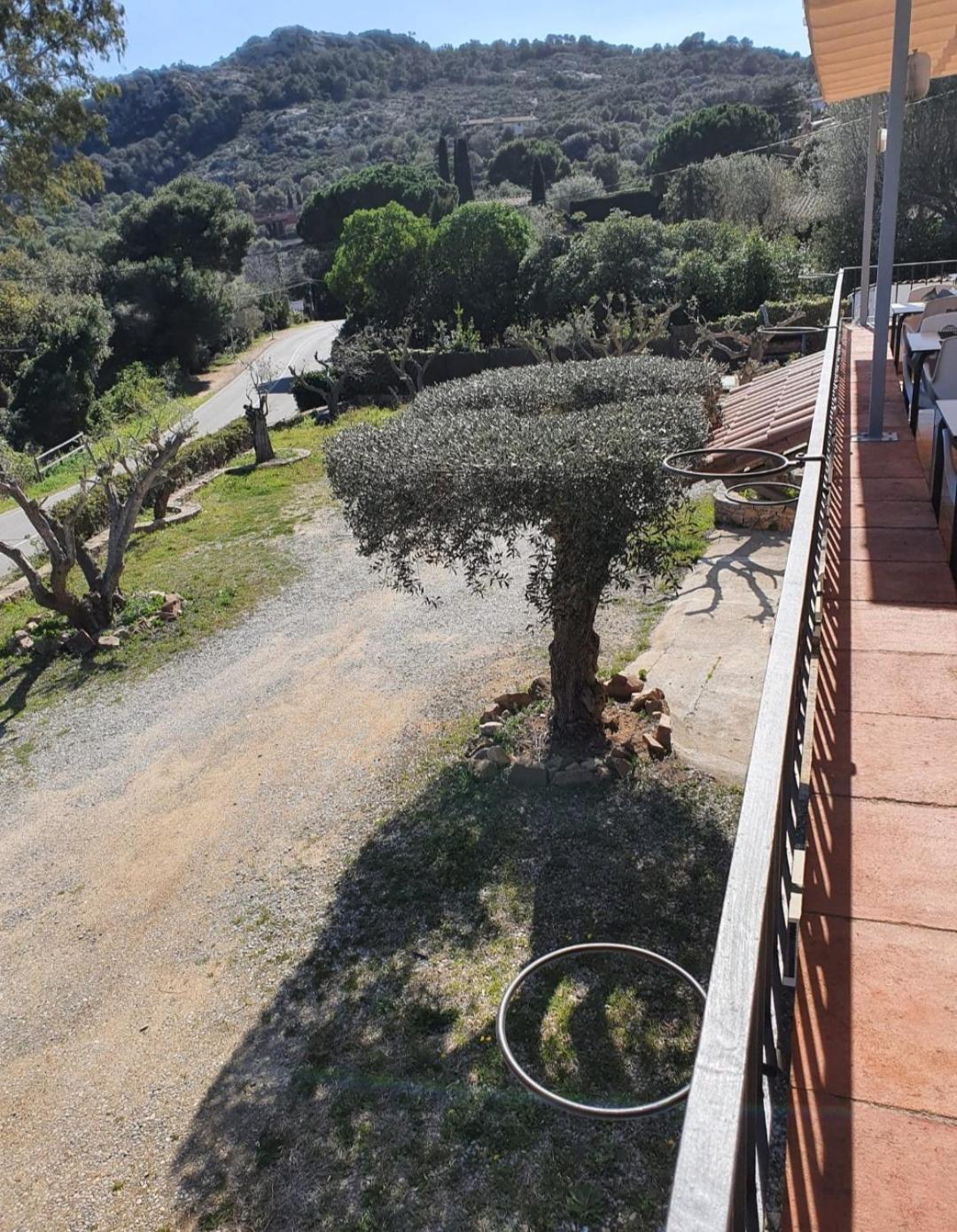 Hotel Nuevo Ondina Begur Eksteriør bilde